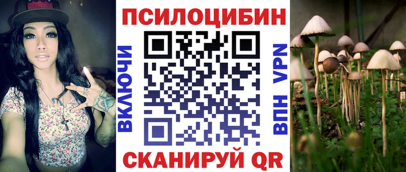 хочу Пойковский Галлюциногенные грибы GOLDEN TEACHER